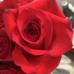 Meet your Posher, Natalie